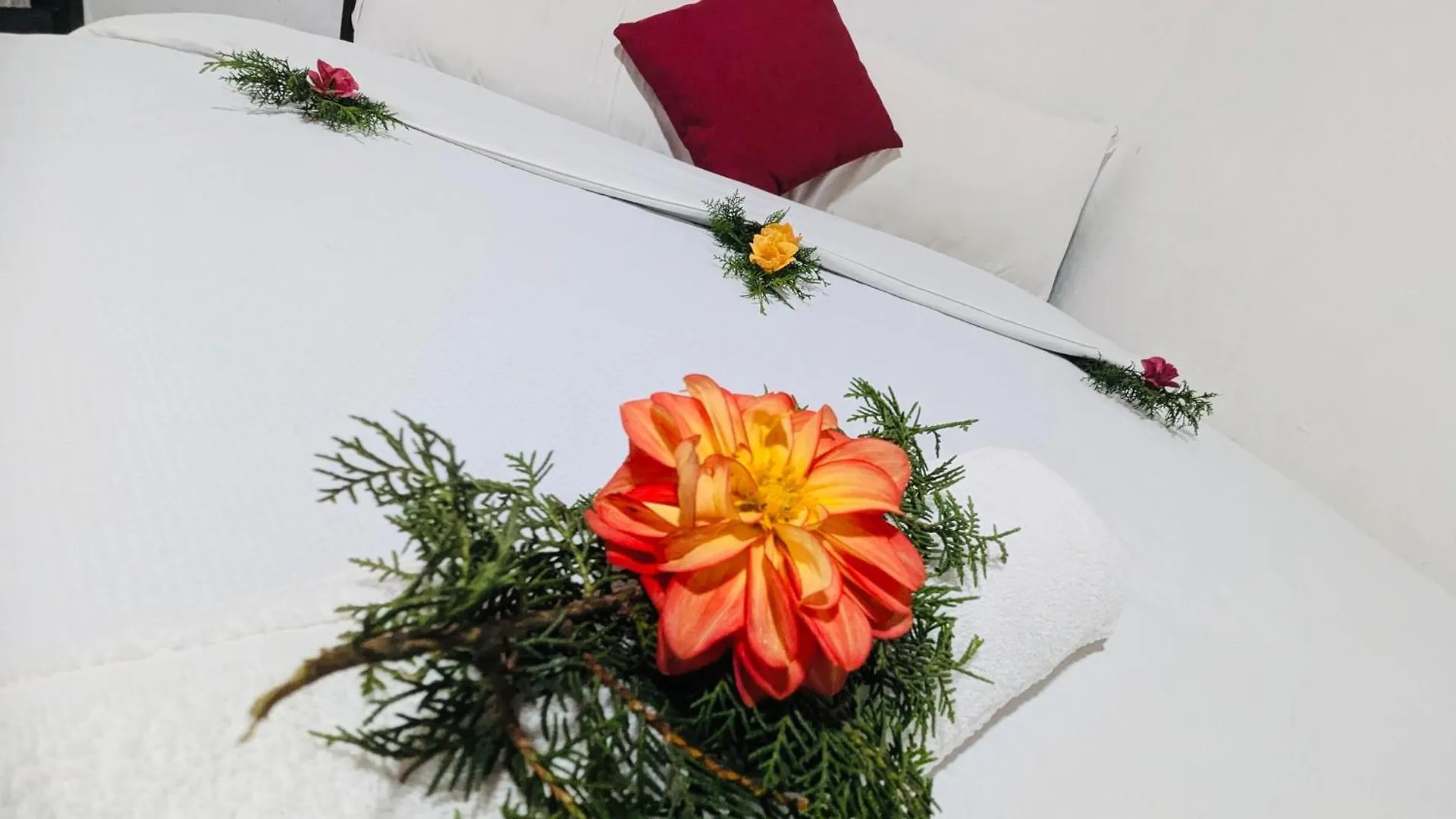 Bed & Breakfast Hillside Cottage Nuwara Eliya