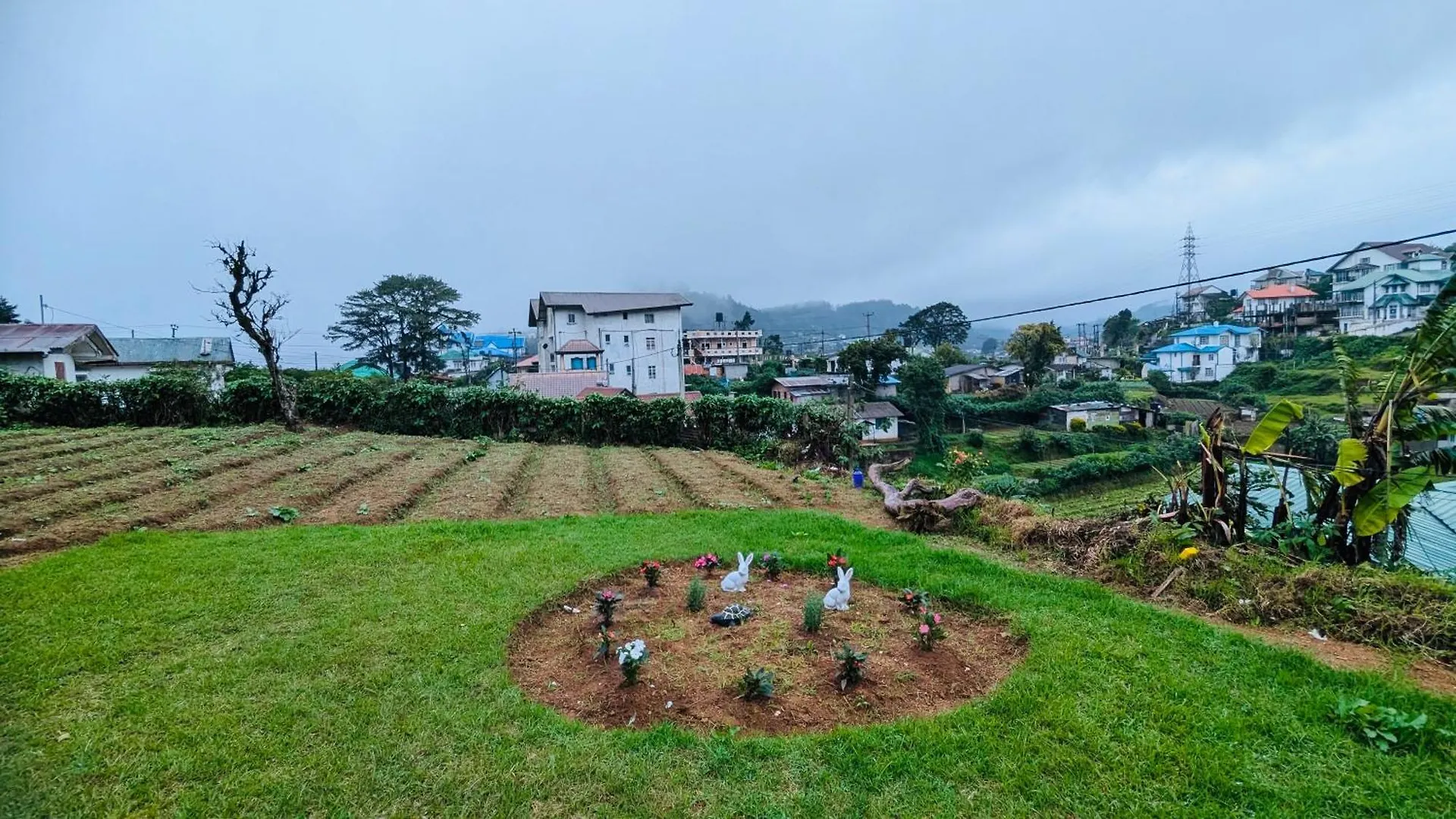 Bed & Breakfast Hillside Cottage Nuwara Eliya